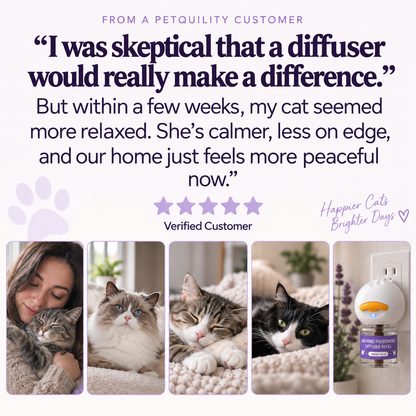 Cat Calming Diffuser